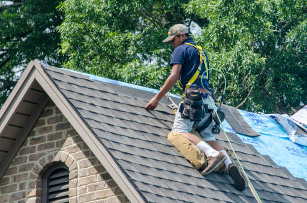Professional Roofing Contractor in Tusculum, TN